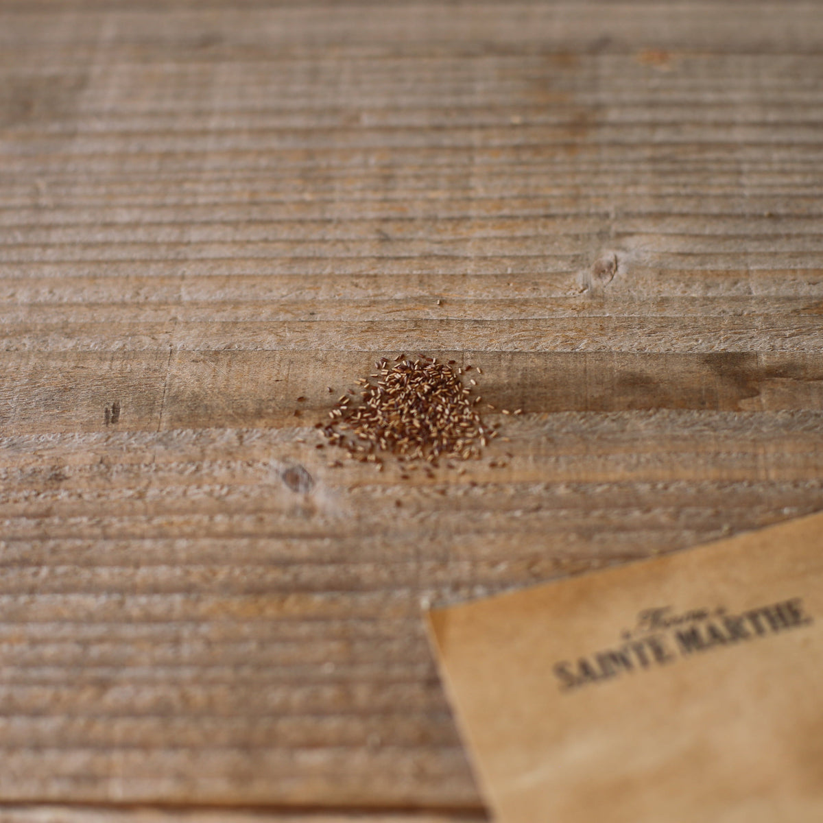 VERVEINE DE BUENOS AIRES AB