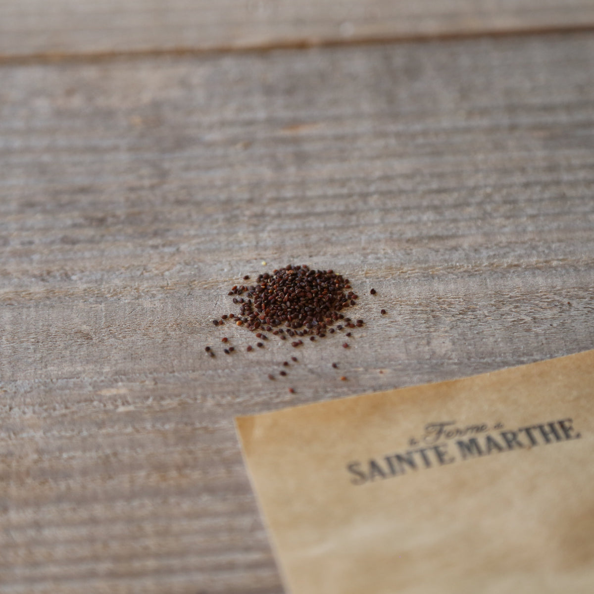 COCHLEAIRE OFFICINALE AB