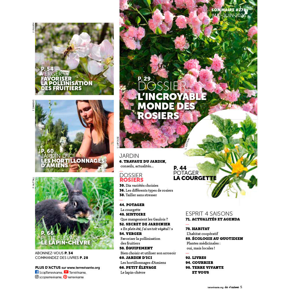 MAGAZINE 4 SAISONS - n°278 L'INCROYABLE MONDE DES ROSIERS