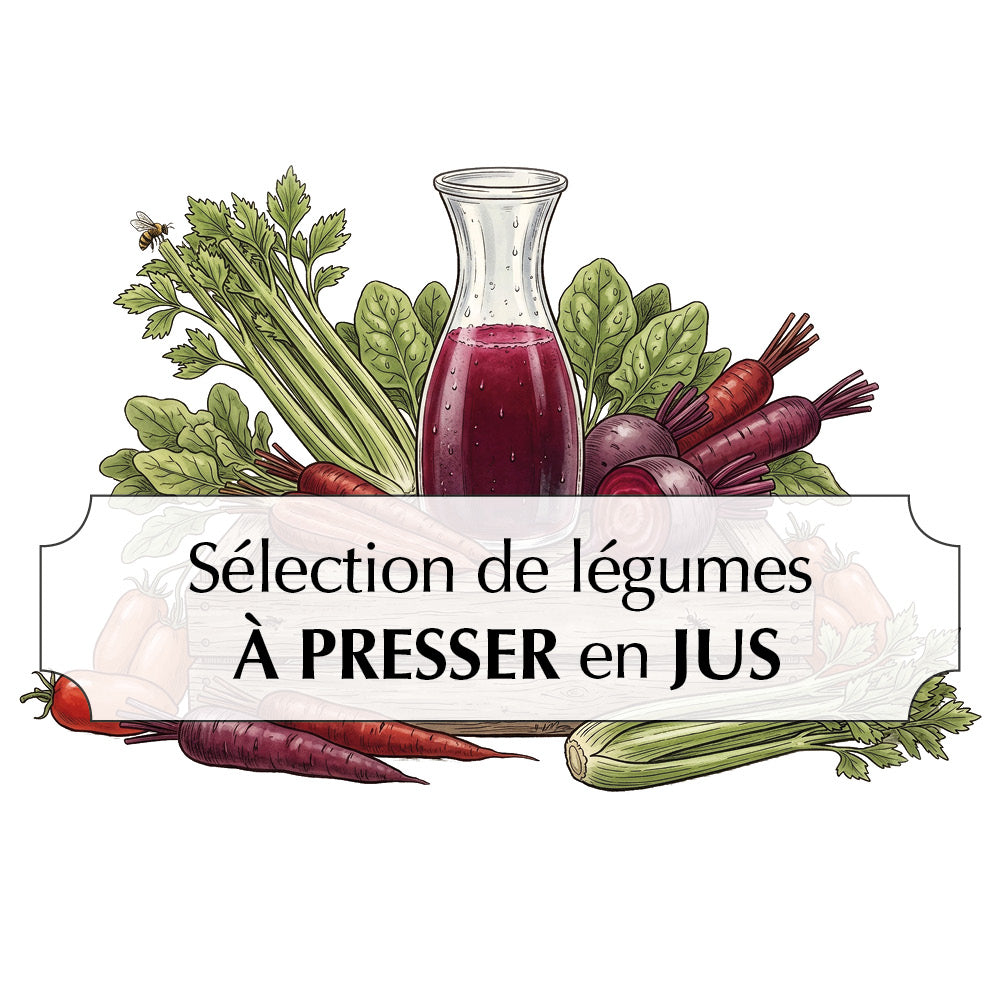 ASSORTIMENT SÉLECTION DE LÉGUMES À PRESSER