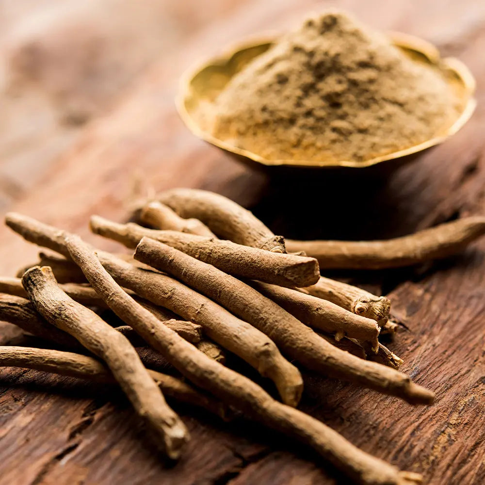 ASHWAGANDHA OU GINSENG INDIEN AB