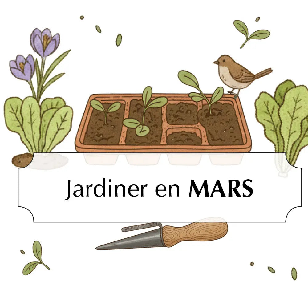 ASSORTIMENT POUR JARDINER EN MARS