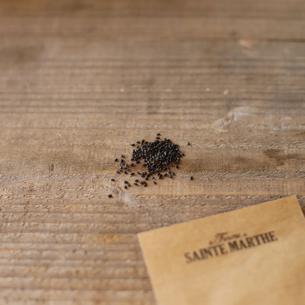 BASILIC CANNELLE AB