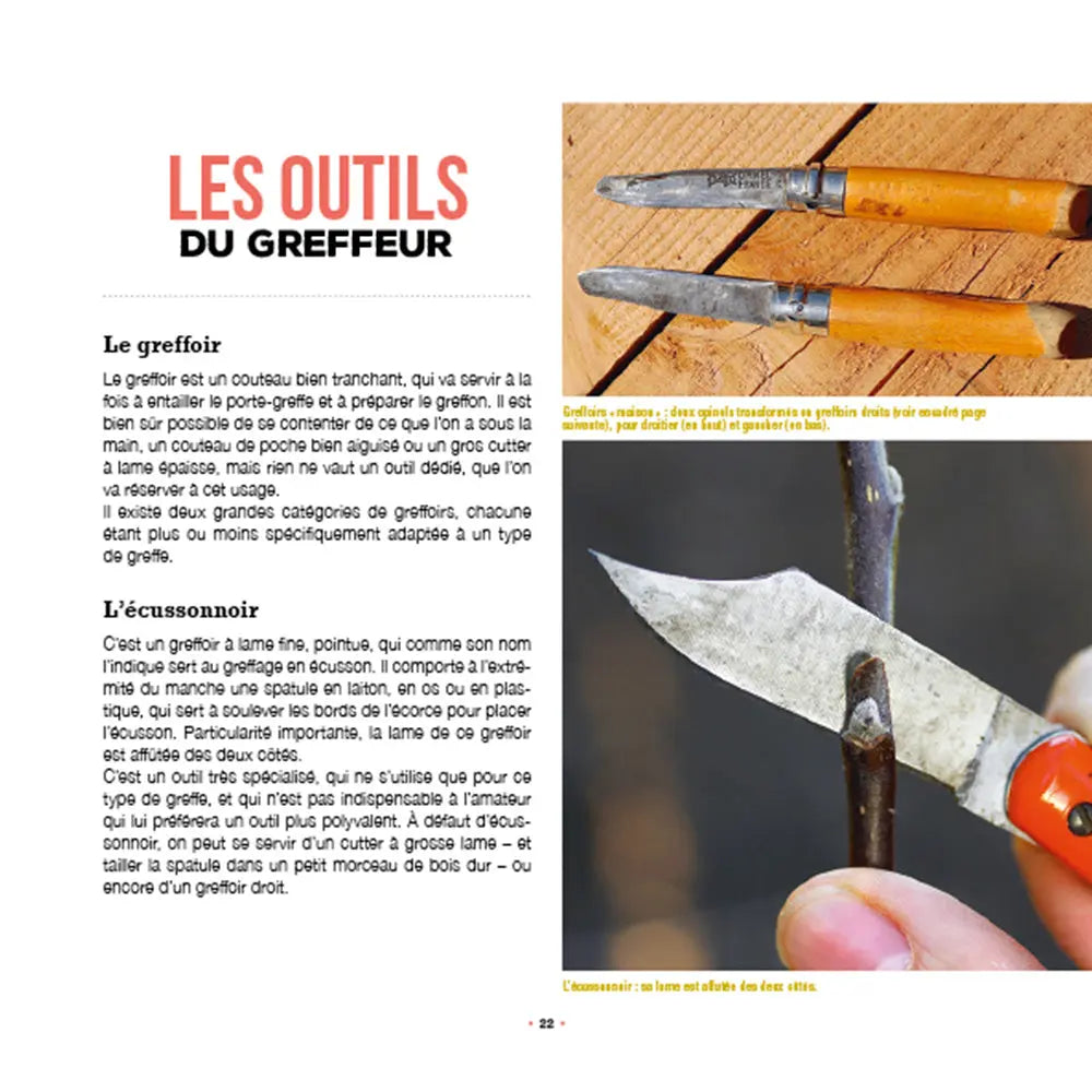J´APPRENDS A GREFFER MES ARBRES FRUITIERS
