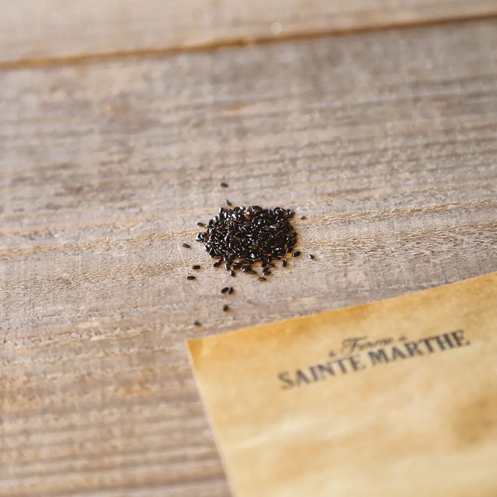 LAVANDE OFFICINALE AB