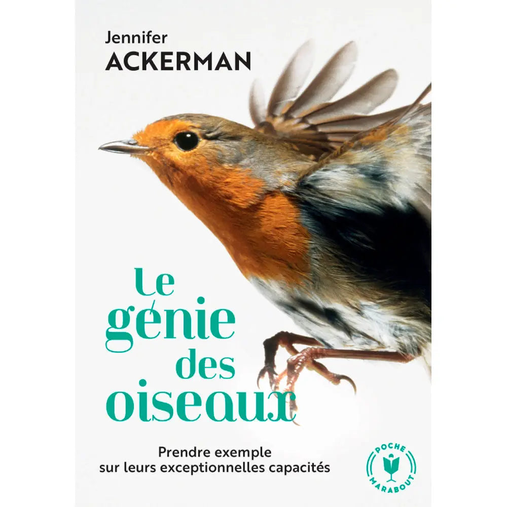 LE GÉNIE DES OISEAUX