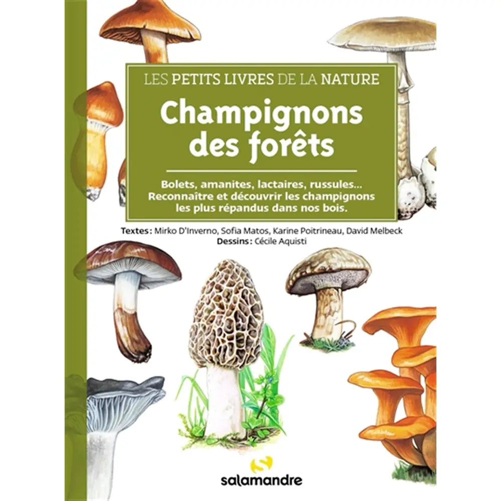LES PETITS LIVRES DE LA NATURE - CHAMPIGNONS DES FORÊTS
