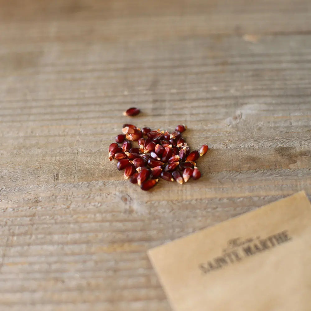 MAÏS POP CORN FRAISE AB
