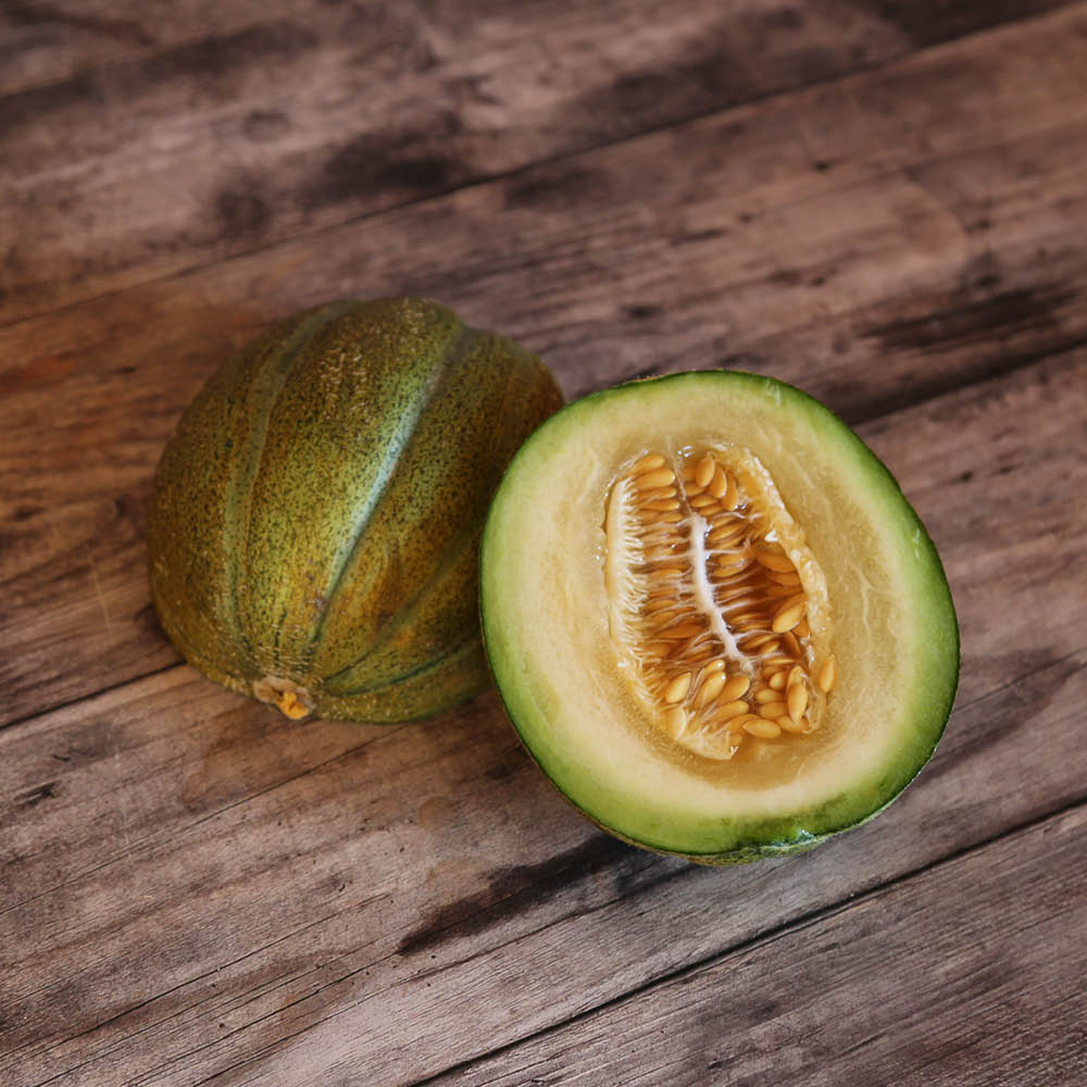 MELON OGEN AB