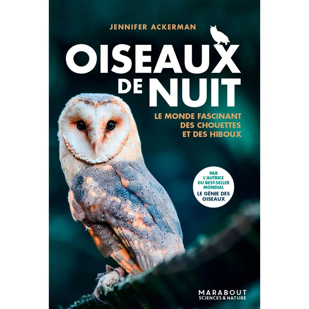 OISEAUX DE NUIT