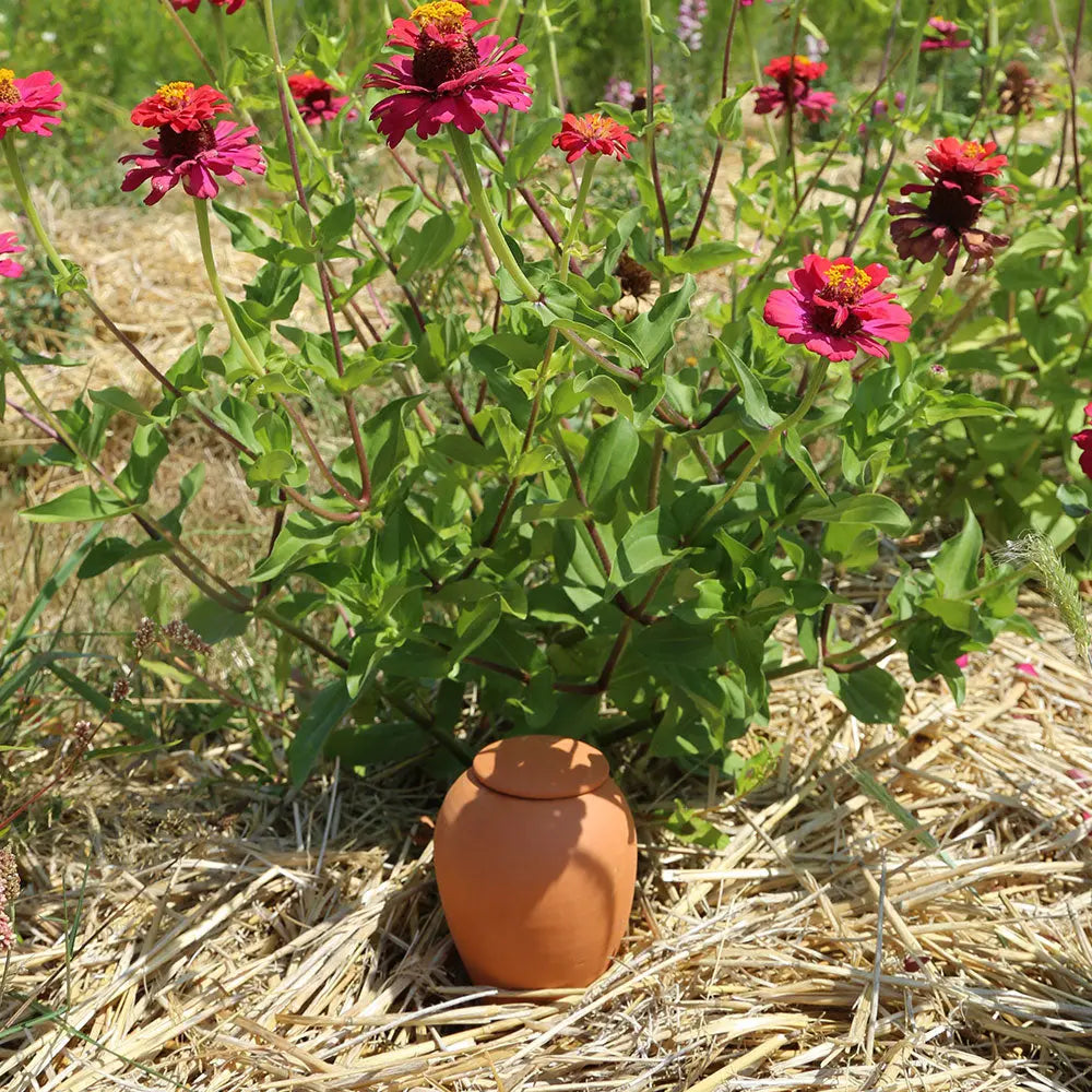 OLLA EN TERRE CUITE