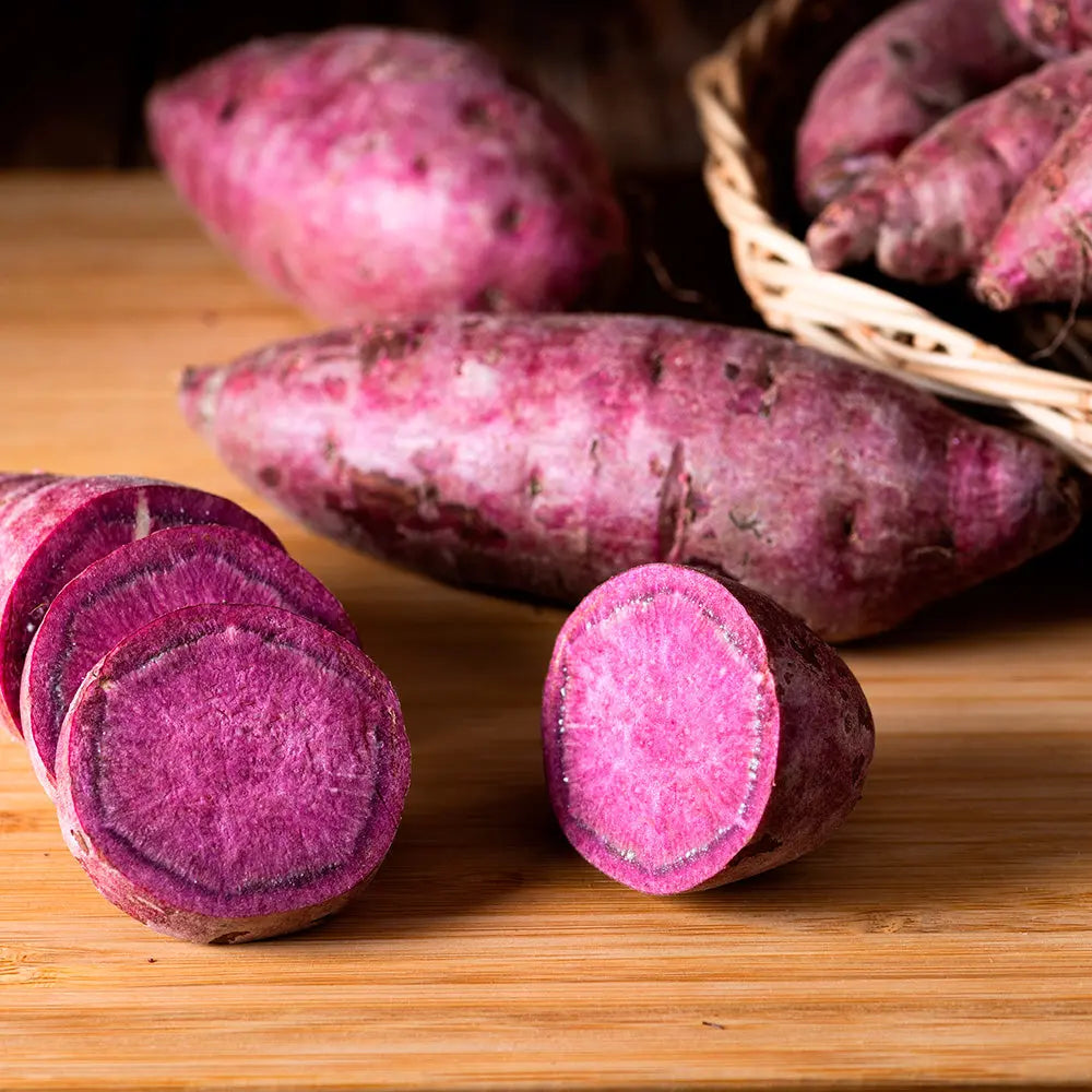 PATATE DOUCE SAKURA - AB - PLANT