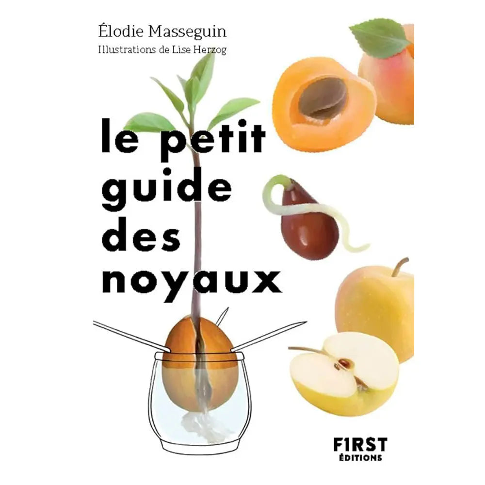 PETIT GUIDE DES NOYAUX