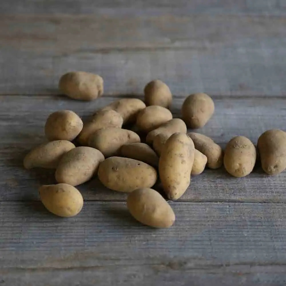 POMME DE TERRE MINETTE AB