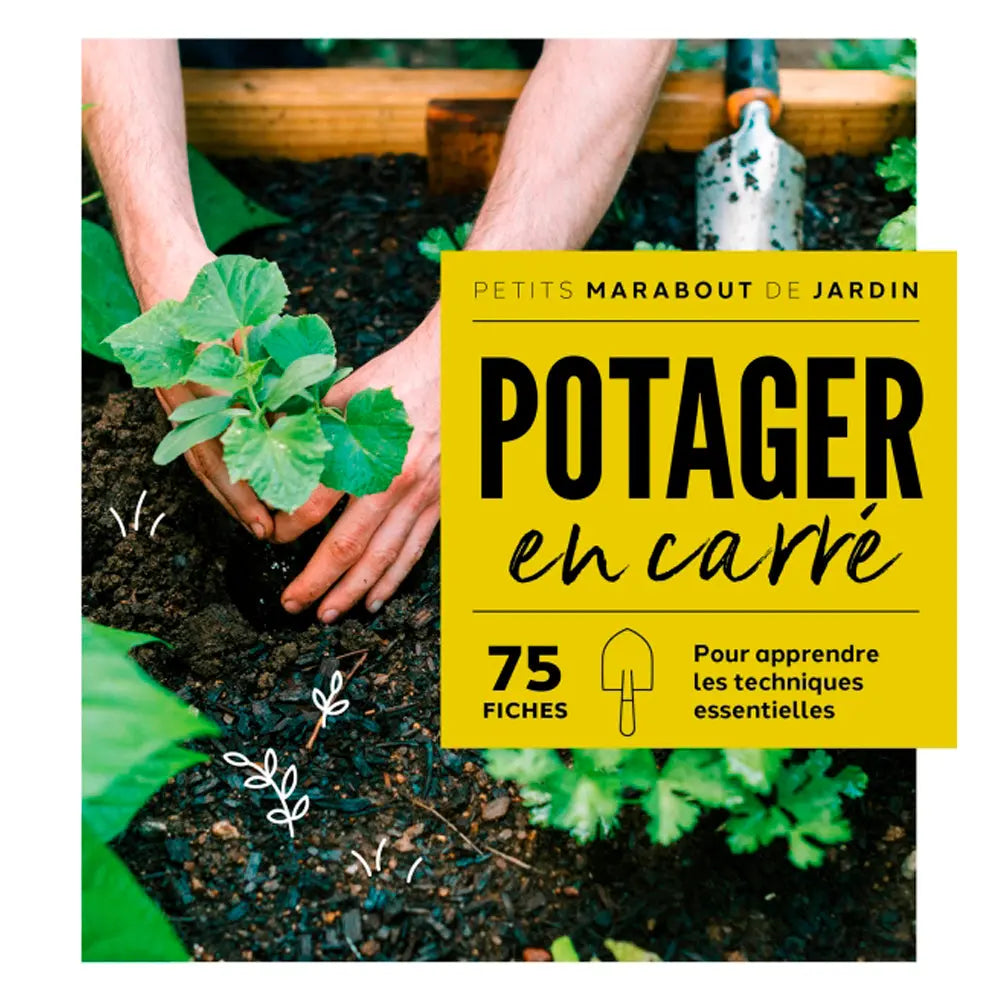 POTAGERS EN CARRÉ