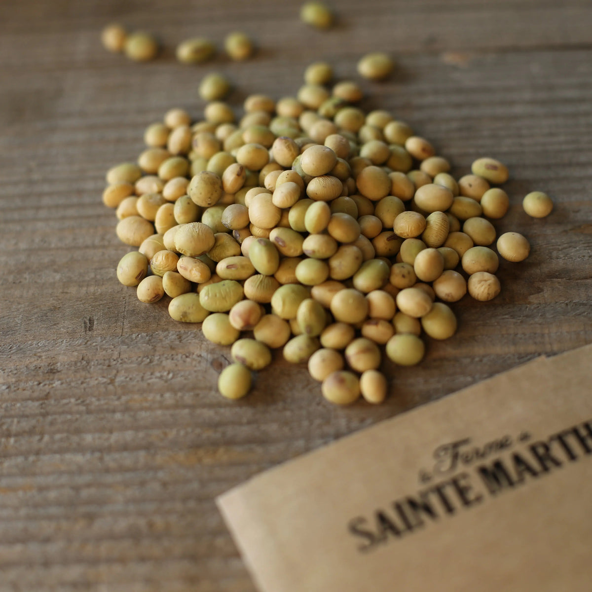 SOJA EDAMAME CHIBA GREEN AB