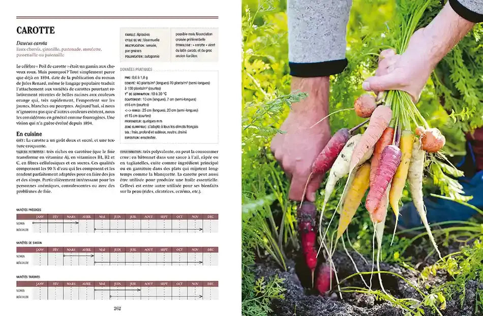 TOUS LES LEGUMES, POUR UNE AUTONOMIE ALIMENTAIRE RETROUVEE