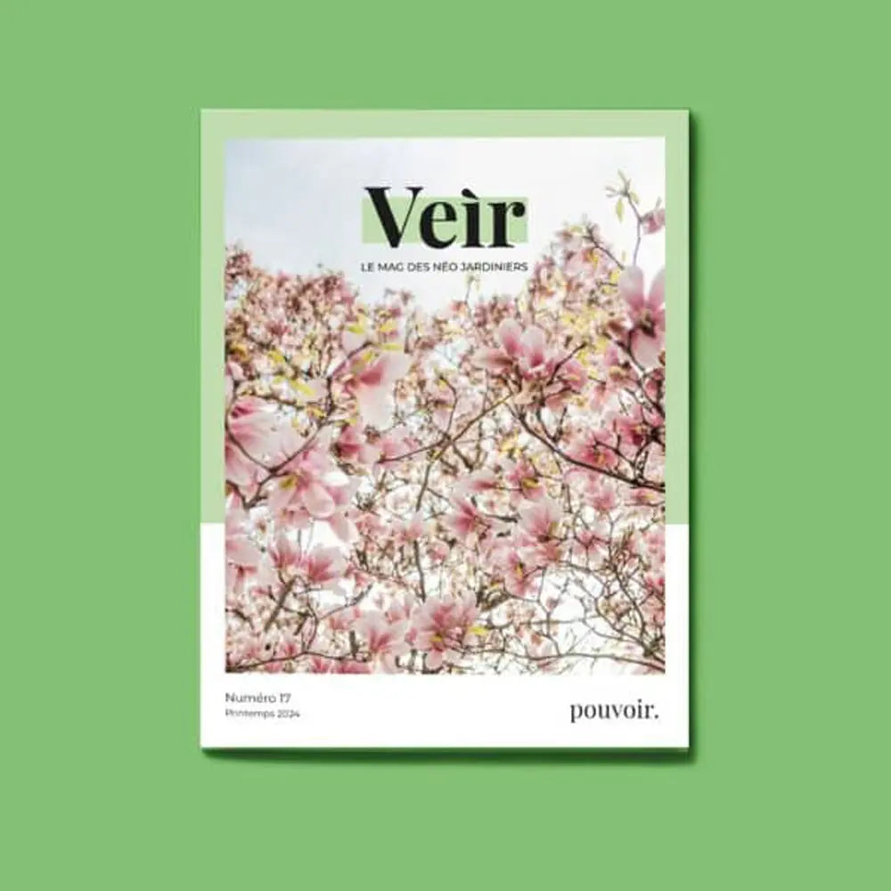 VEIR MAGAZINE - n°17 Pouvoir