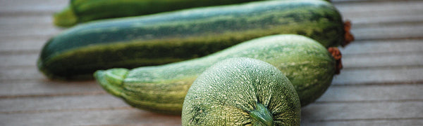 La diversité des courgettes à la Ferme de Sainte MArthe 