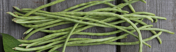 Haricots doliques