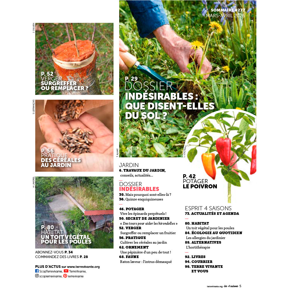 MAGAZINE 4 SAISONS - n°277 INDÉSIRABLES : COMMENT LES CONTENIR ? 