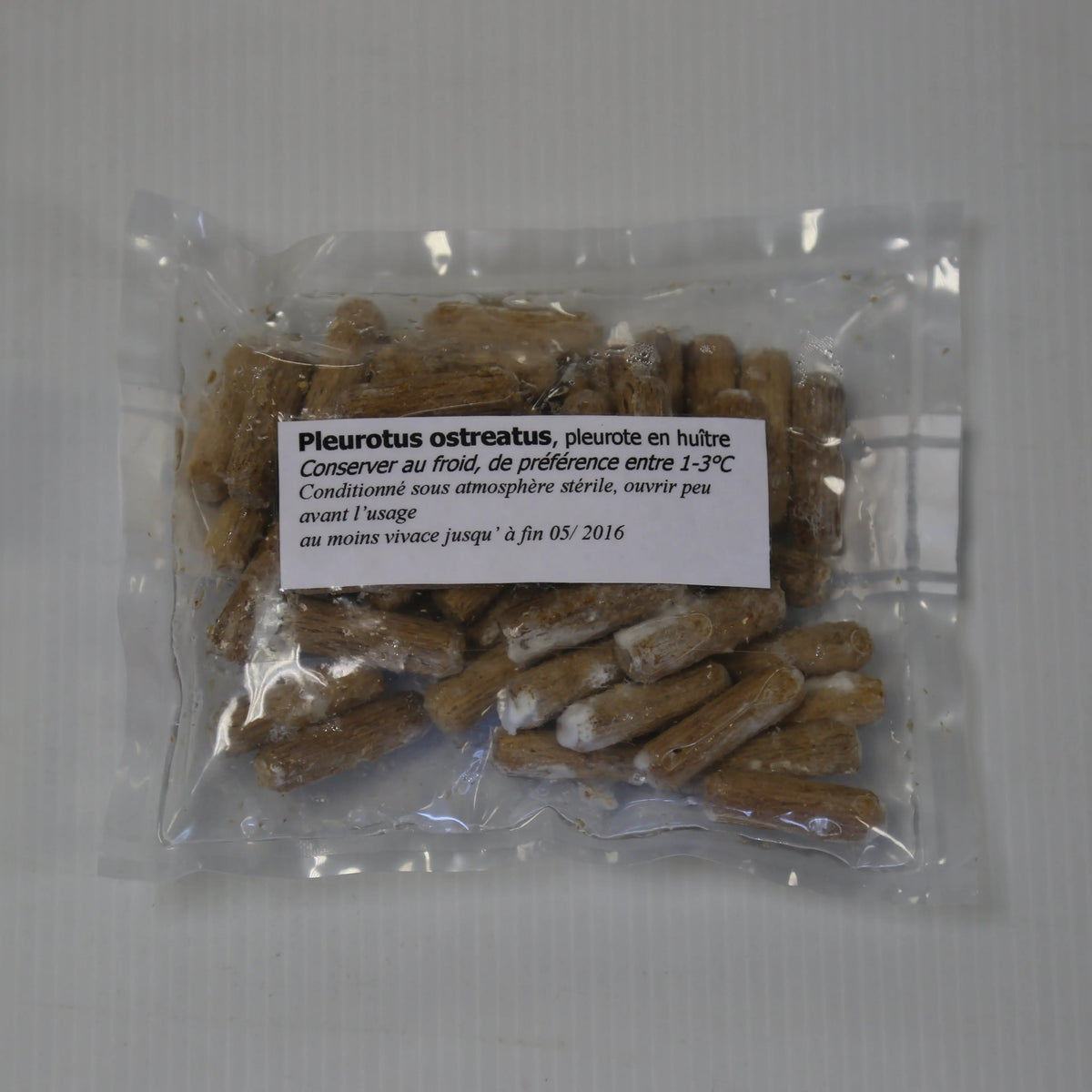 50 CHEVILLES - PLEUROTE D´ETE AB 