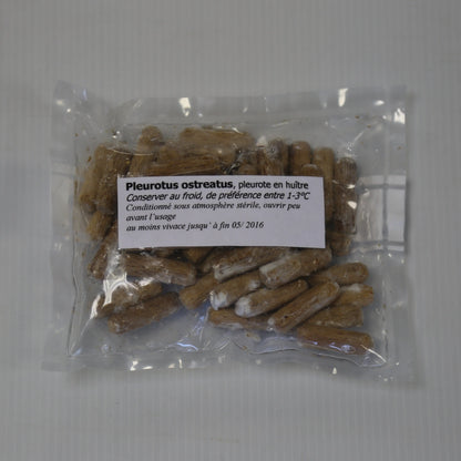 50 CHEVILLES - PLEUROTE D´ETE AB 