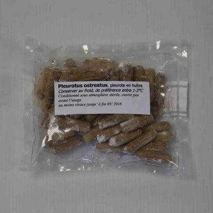 50 CHEVILLES - PLEUROTE EN FORME D´HUÎTRE AB 