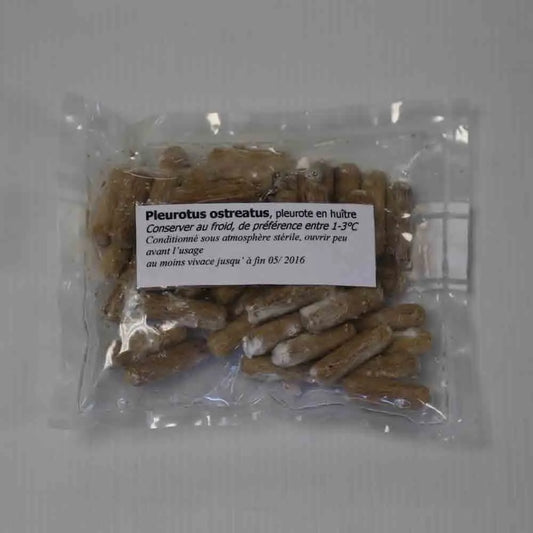 50 CHEVILLES - PLEUROTE EN FORME D´HUÎTRE AB 