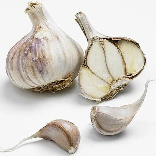AIL VIOLET VALDOUR 