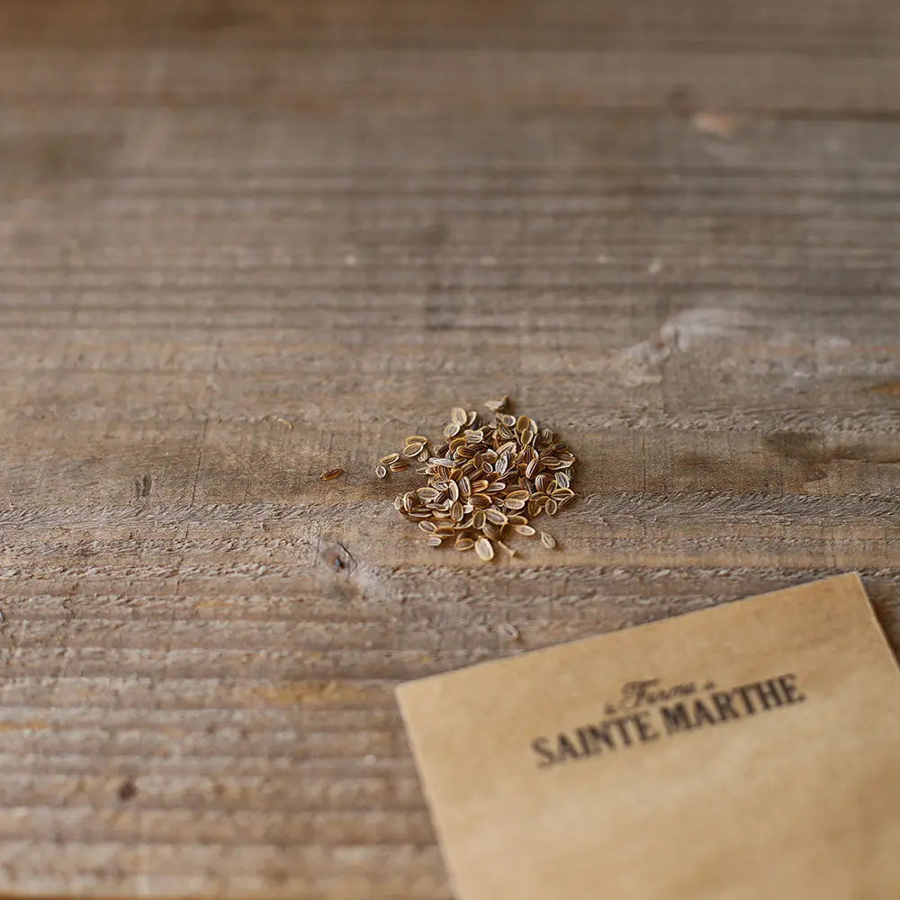 ANETH OFFICINALE AB 