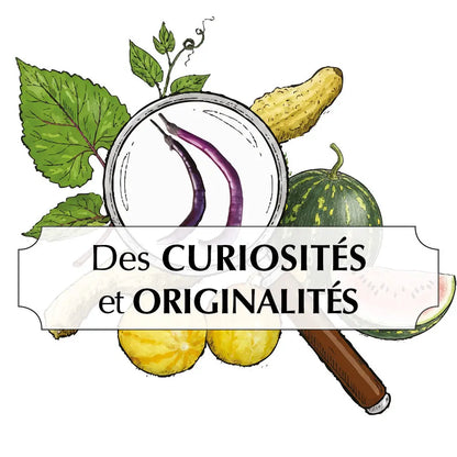 ASSORTIMENT DE CURIOSITÉS ET ORIGINALITÉS DE LA NATURE 
