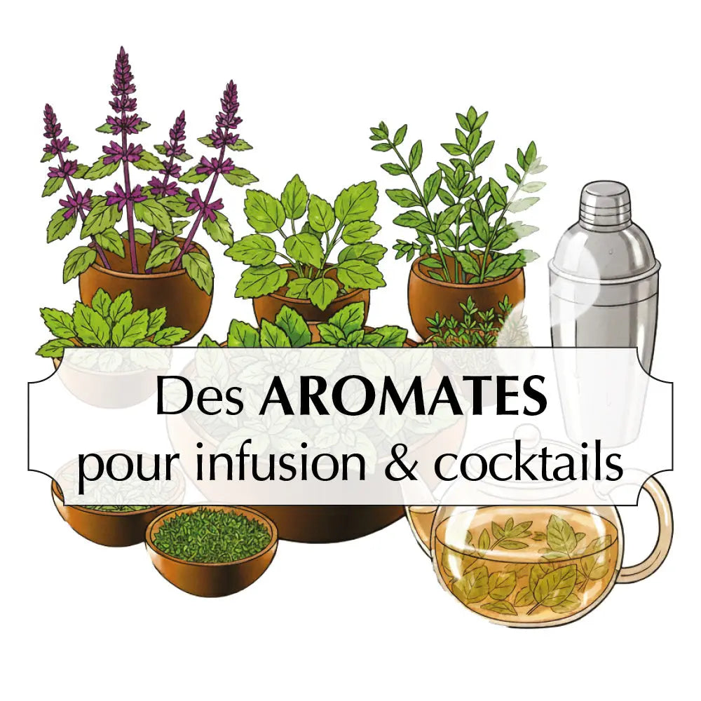 ASSORTIMENT D'AROMATES POUR INFUSIONS & COCKTAILS 