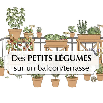 ASSORTIMENT POUR CULTIVER DES PETITS LÉGUMES SUR UN BALCON 
