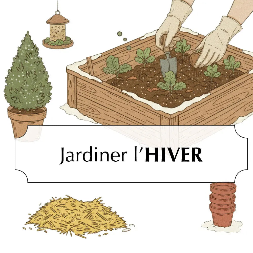 ASSORTIMENT POUR JARDINER L'HIVER 