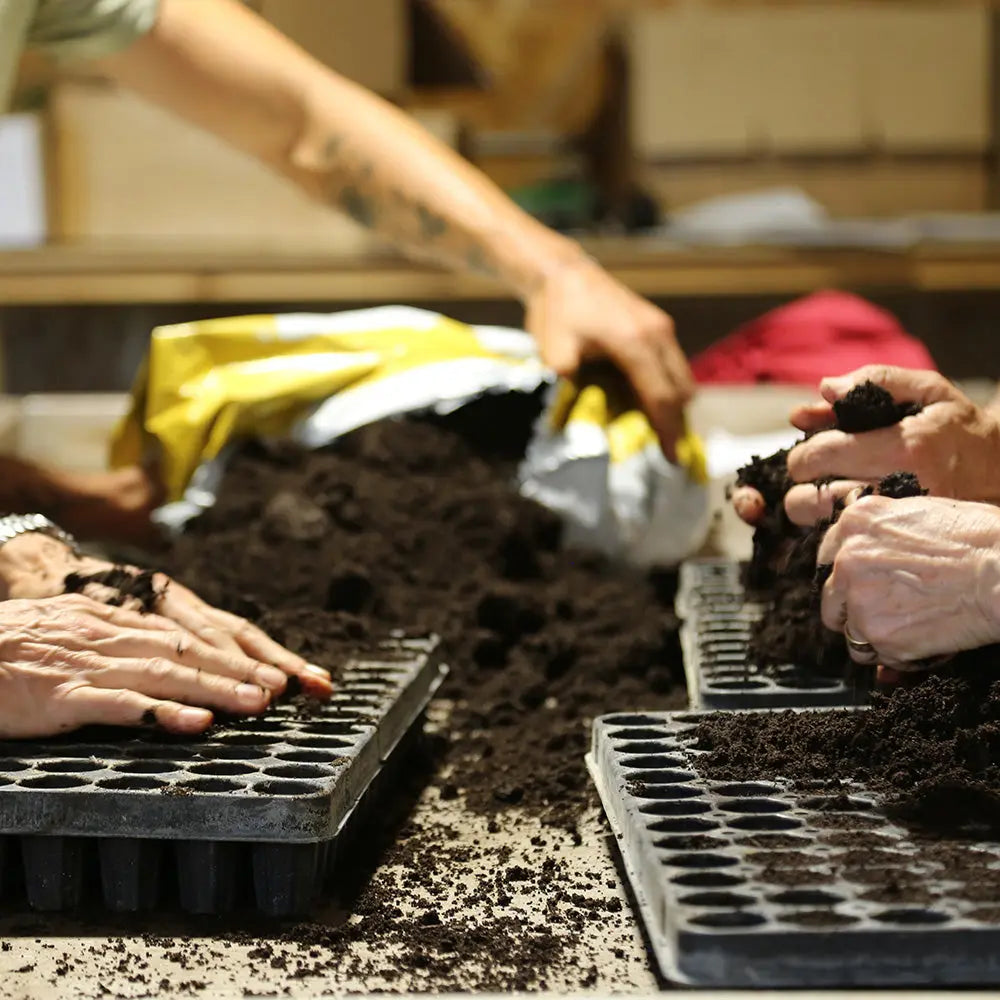 ATELIER DE JARDINAGE - JARDINER AVEC SOIN 