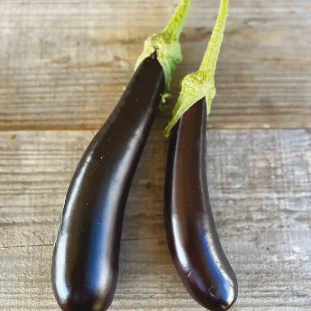 AUBERGINE DE BARBENTANE AB 