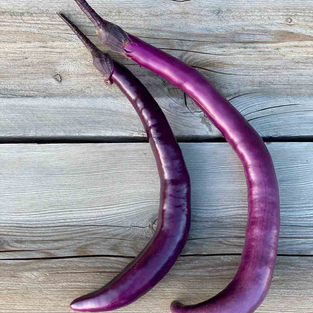 AUBERGINE JAPANESE PICKLING AB 