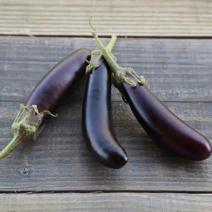 AUBERGINE LITTLE FINGERS AB 