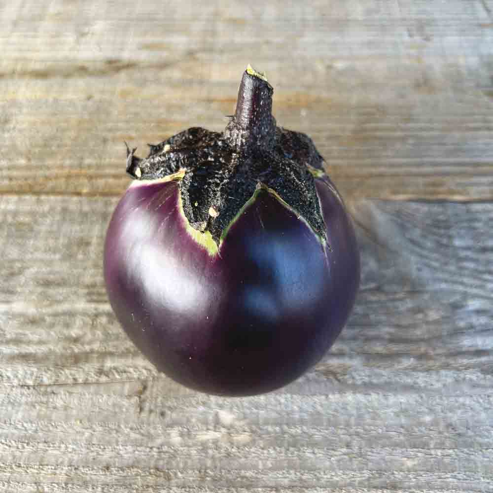 AUBERGINE RONDE DE VALENCE AB 