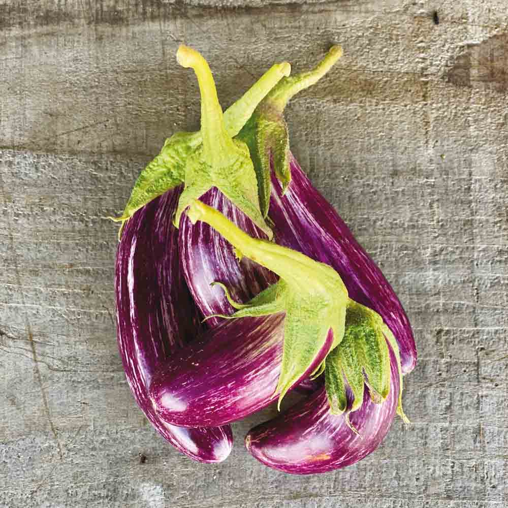 AUBERGINE TSAKONIKI AB 