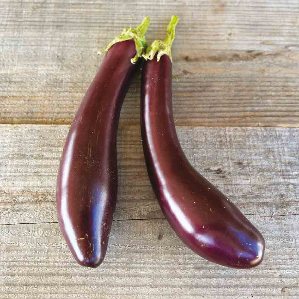 AUBERGINE VIOLETTA LUNGA 3 AB 