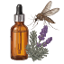 Graines d'aromatiques par usages