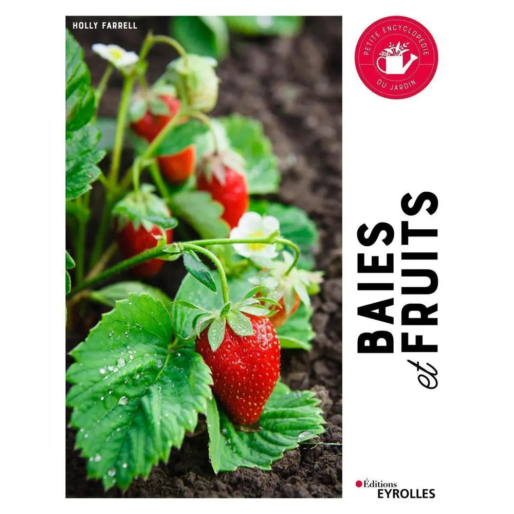 BAIES ET FRUITS 