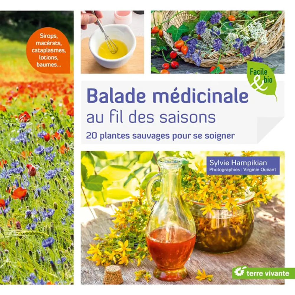 BALADE MEDICINALE AU FIL DES SAISONS 