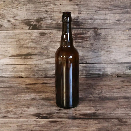 BOUTEILLE A BIERE X6 