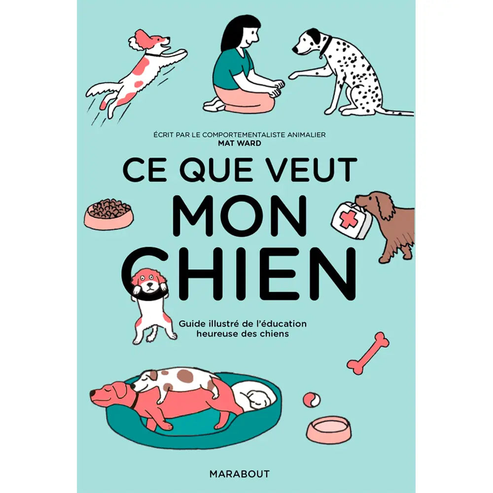 CE QUE VEUT MON CHIEN 