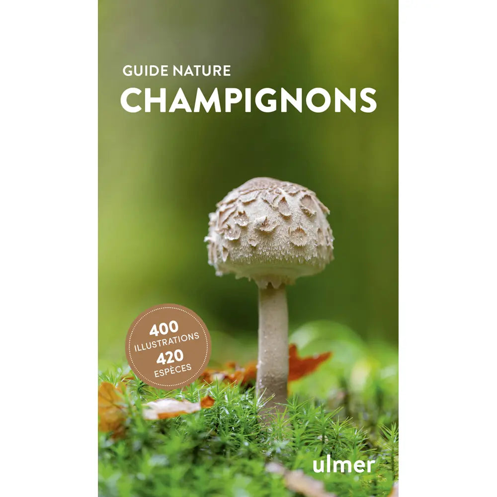 CHAMPIGNONS 