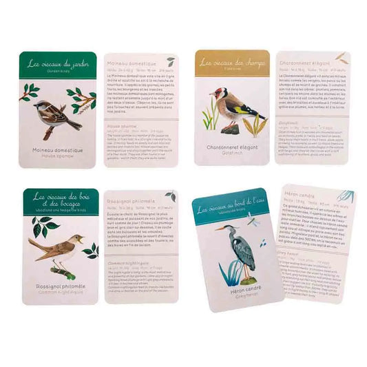 COFFRET DECOUVERTE OISEAUX 