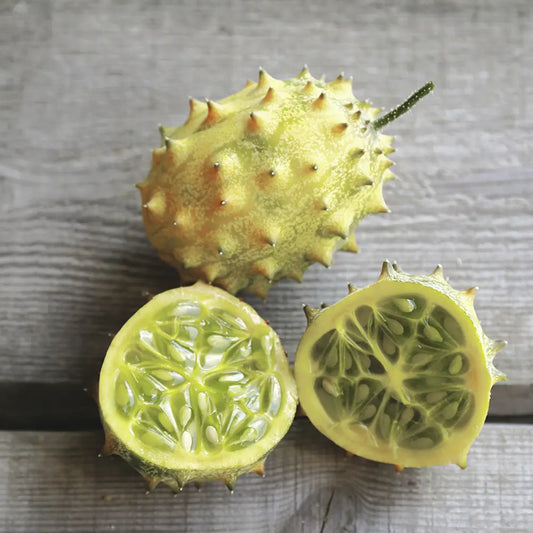 CONCOMBRE KIWANO ROND BLANC AB 